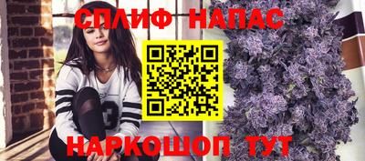 сатива Кумертау