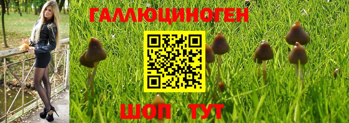 Псилоцибиновые грибы Magic Shrooms  Вход с VPN  Ейск 
